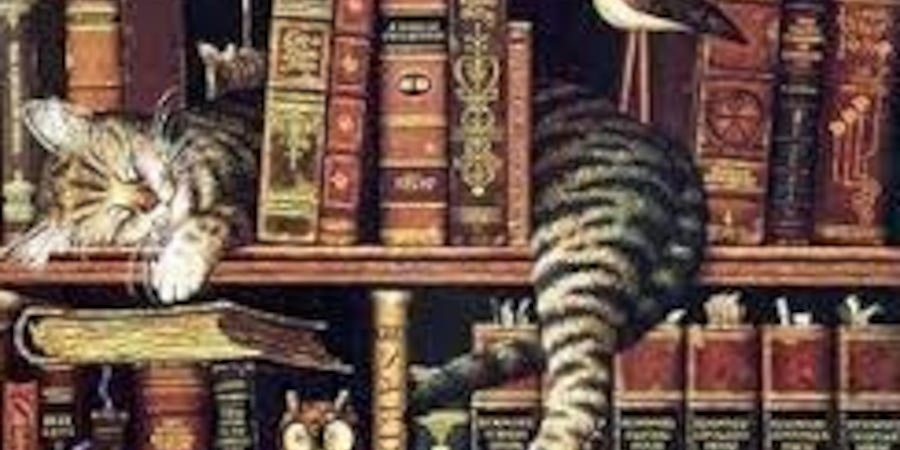 author image