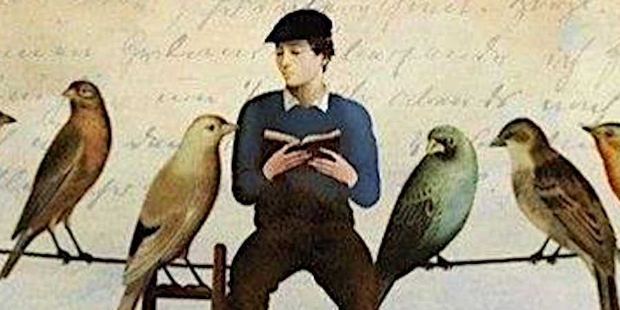 author image