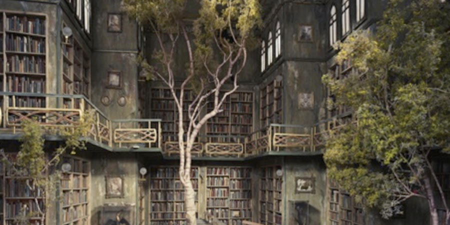 author image